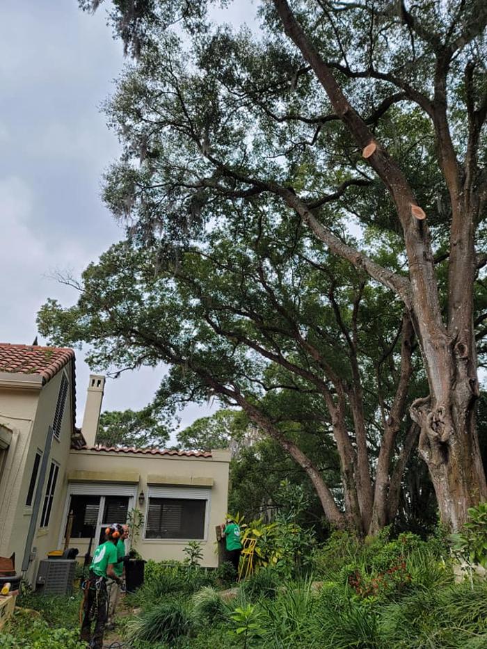 Custom Lakefronts and Tree Care LLC - Port Orange, FL