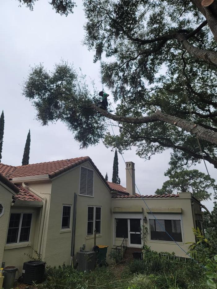 Custom Lakefronts and Tree Care LLC - Port Orange, FL