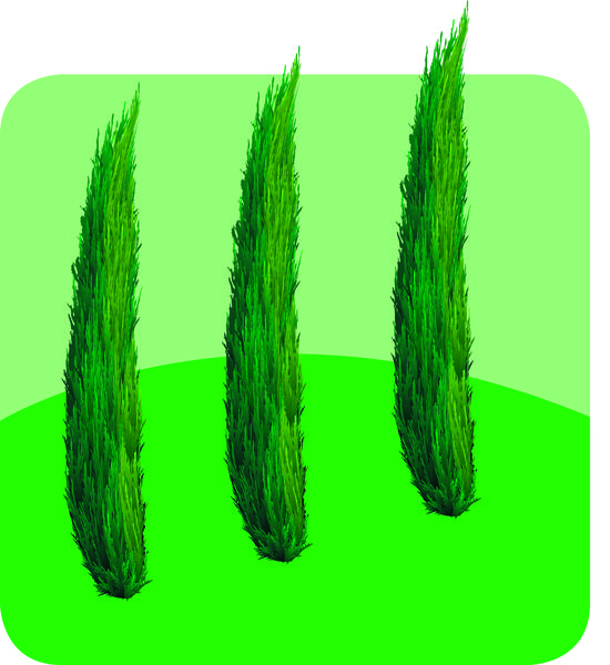 Les Jardins de la raye paysagiste conseil