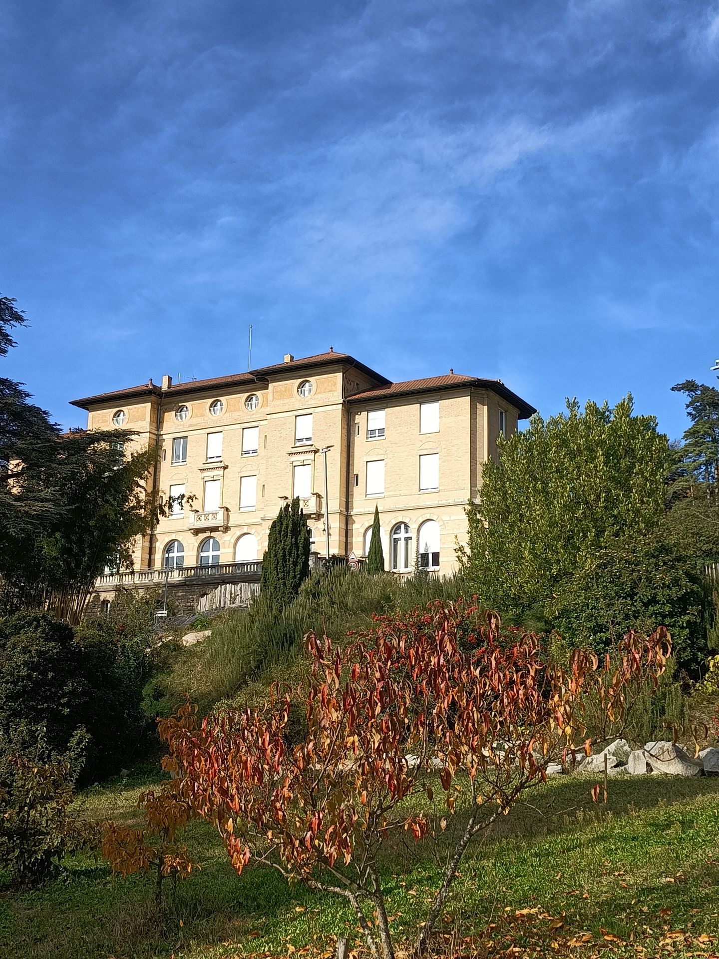 galerie image