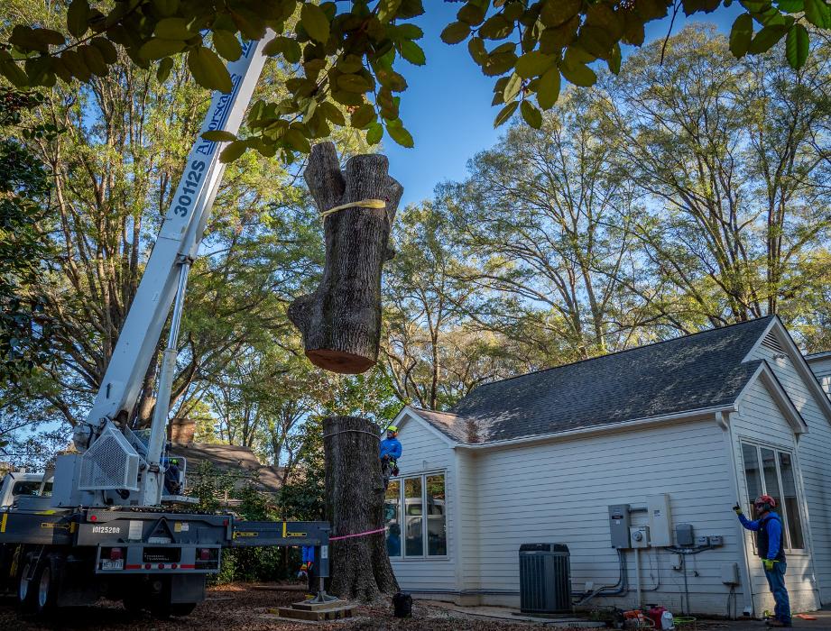 Arborscapes Inc. - Pineville, NC