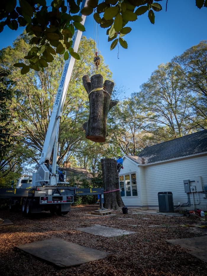 Arborscapes Inc. - Pineville, NC