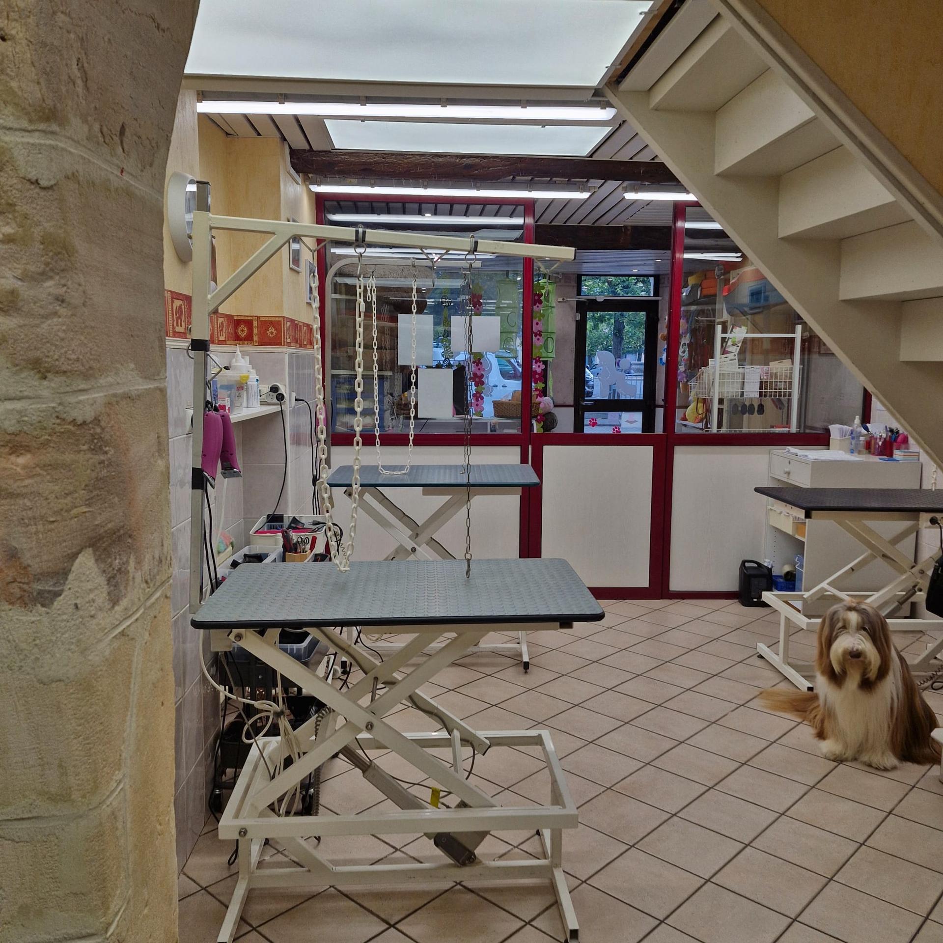 galerie image galerie image