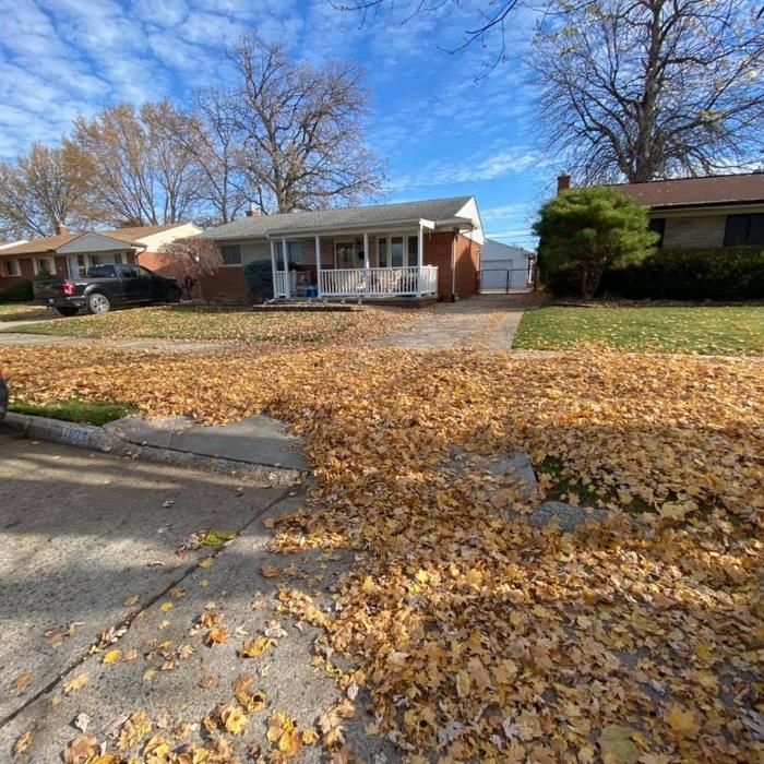 DJ Wyatt's Landscaping & Snow Removal LLC - Roseville, MI