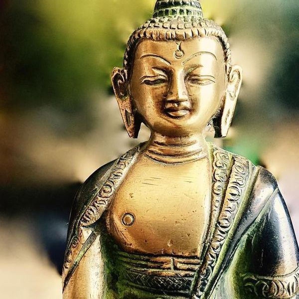 L'Atelier Piscines Expert