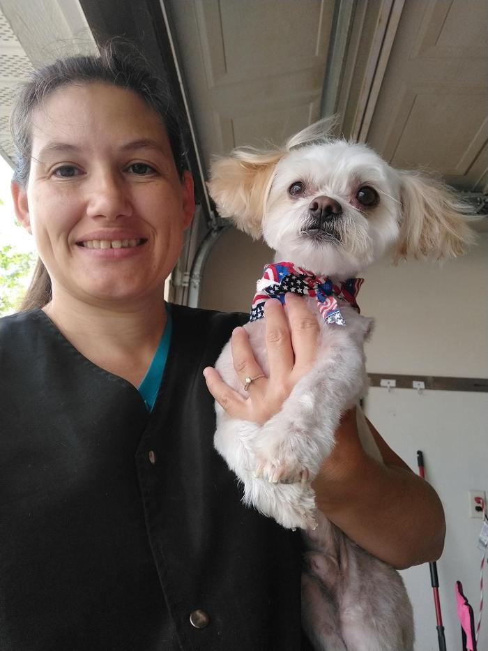 Brandy's In Home Dog Grooming - Bentonville, AR