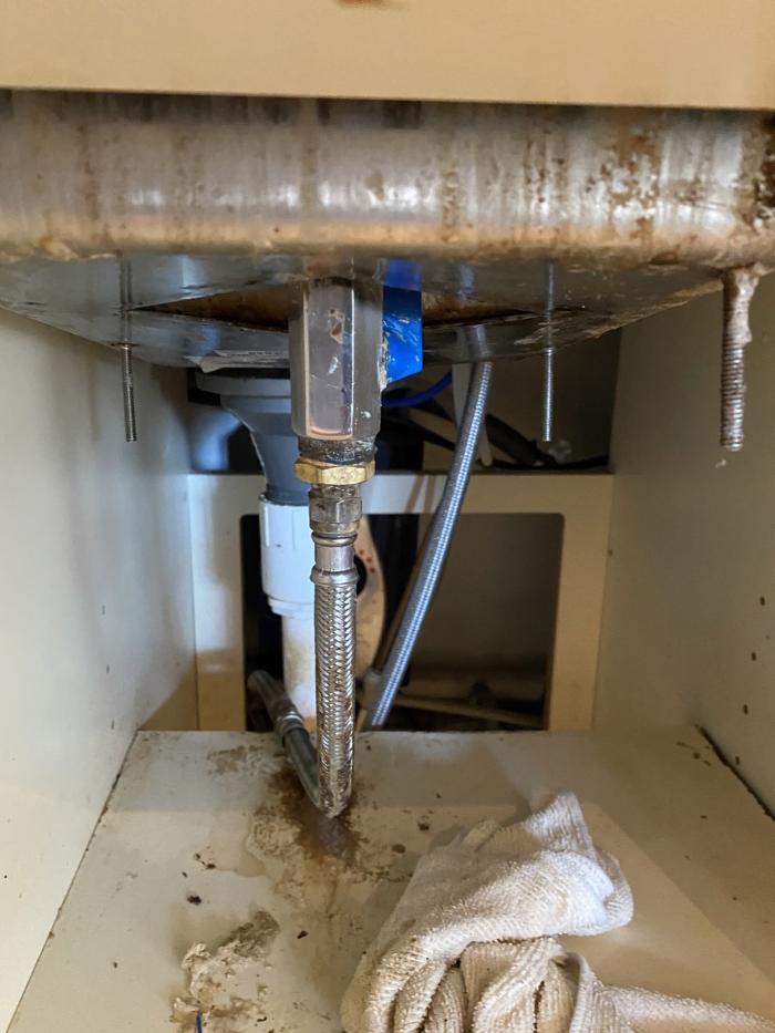 All American Plumbing - Gainesville, FL