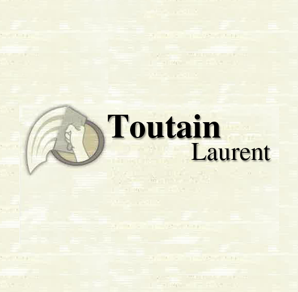 Toutain Laurent EI Expert