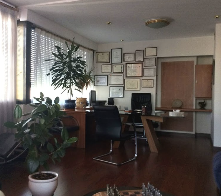 Galería en miniatura