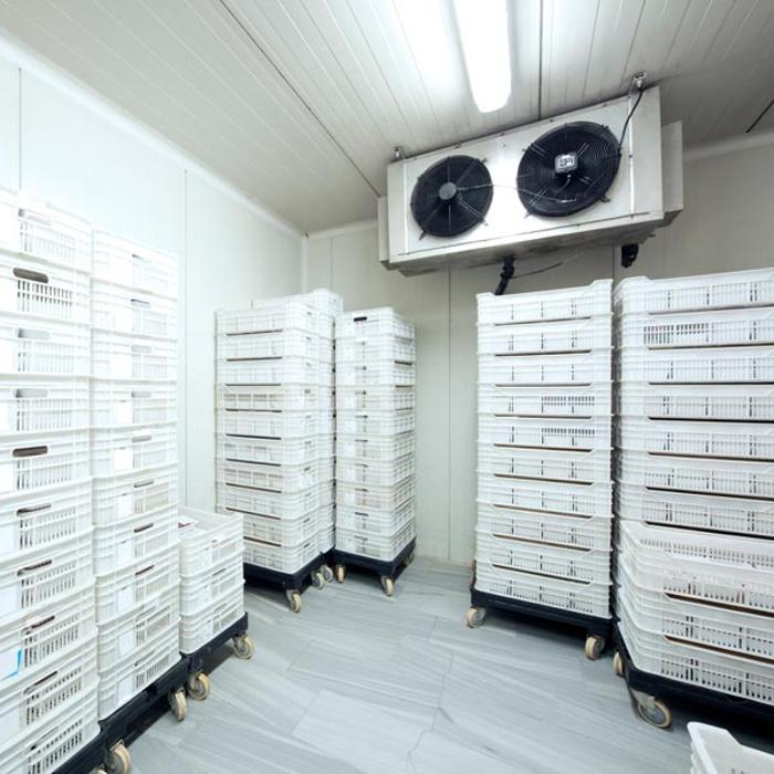 Thermal Solutions L.L.C. - Gonzales, LA
