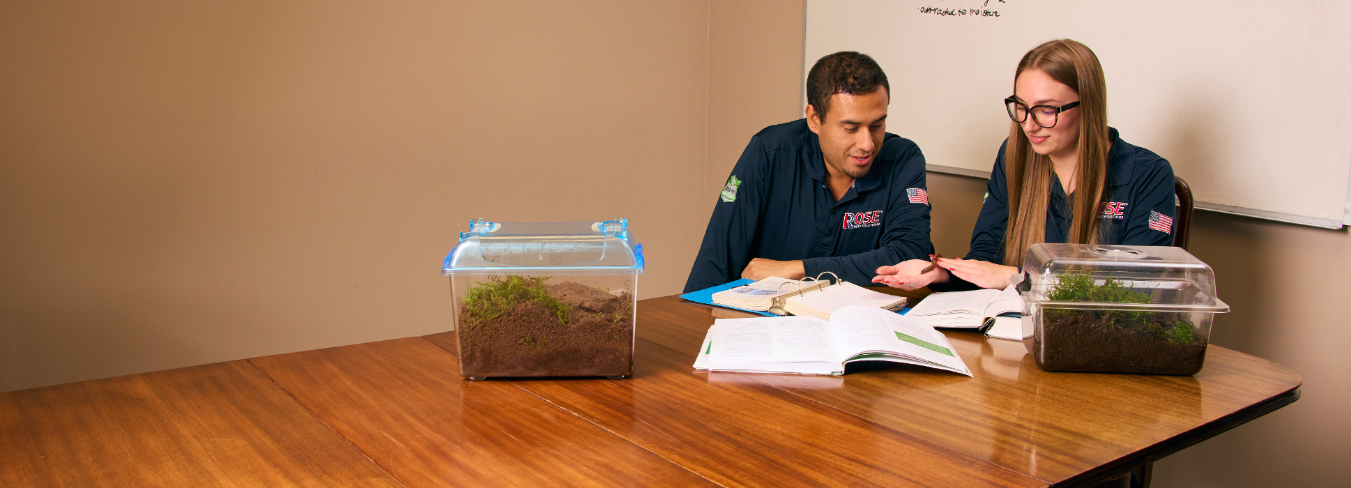 Rose Pest Solutions Image