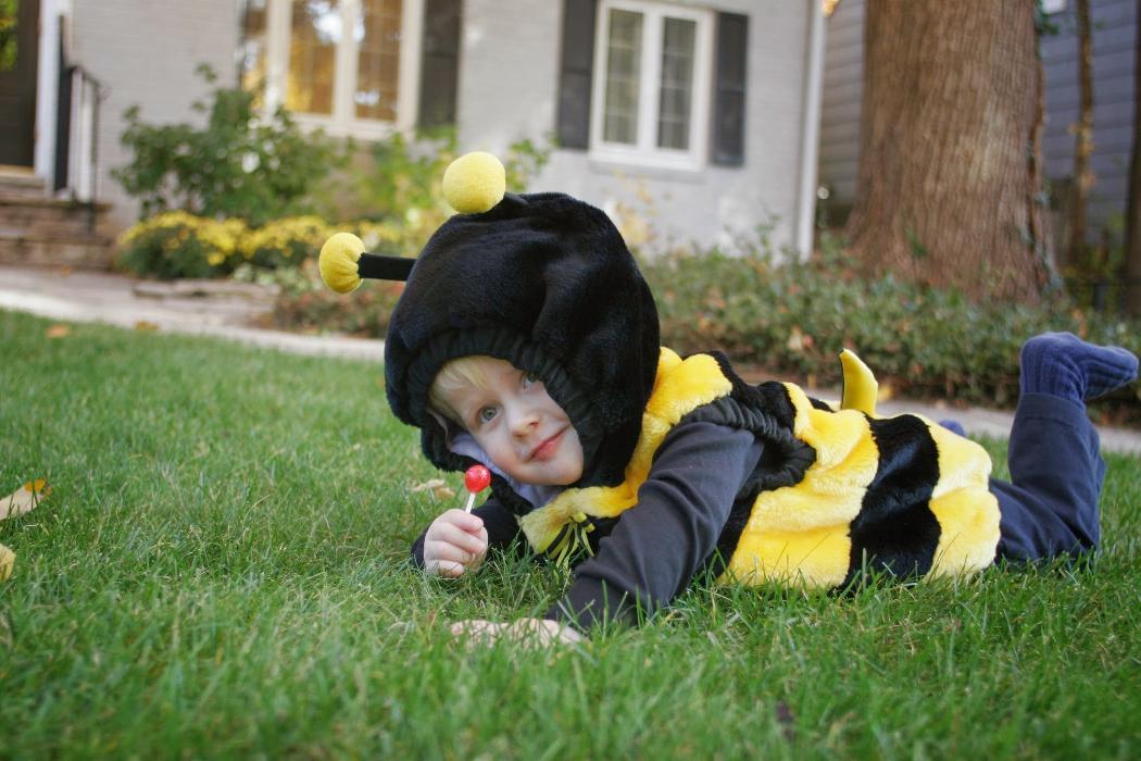 Rose Pest Solutions Image