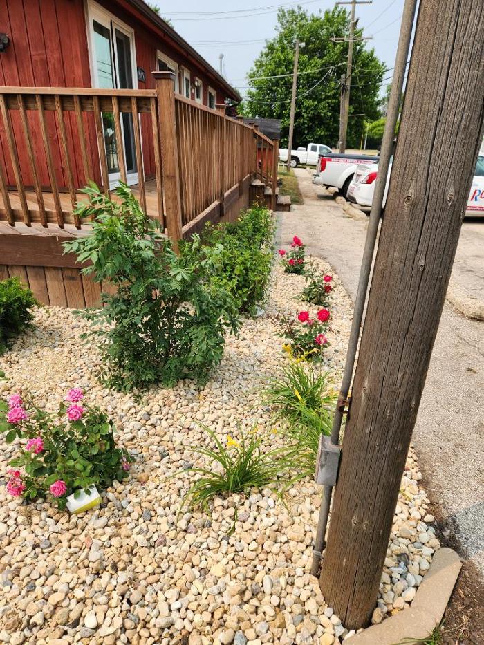 Rose Pest Solutions - Lombard, IL