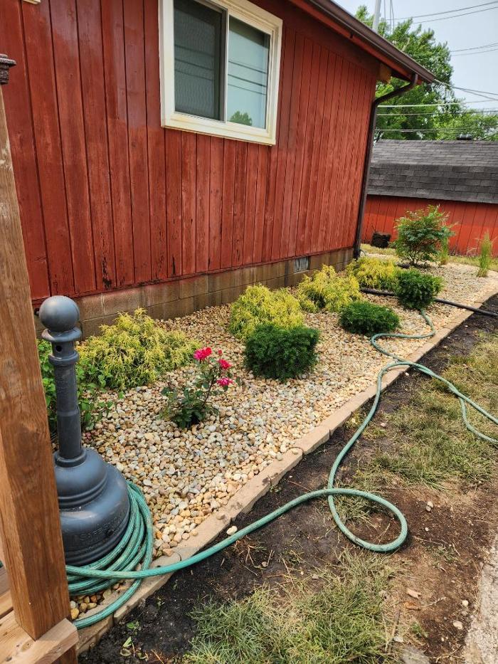 Rose Pest Solutions - Lombard, IL