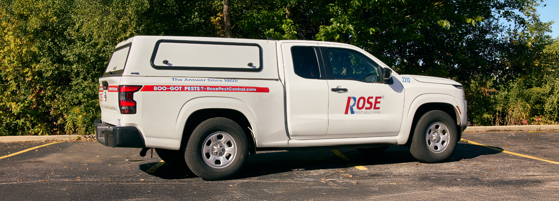 Rose Pest Solutions Image