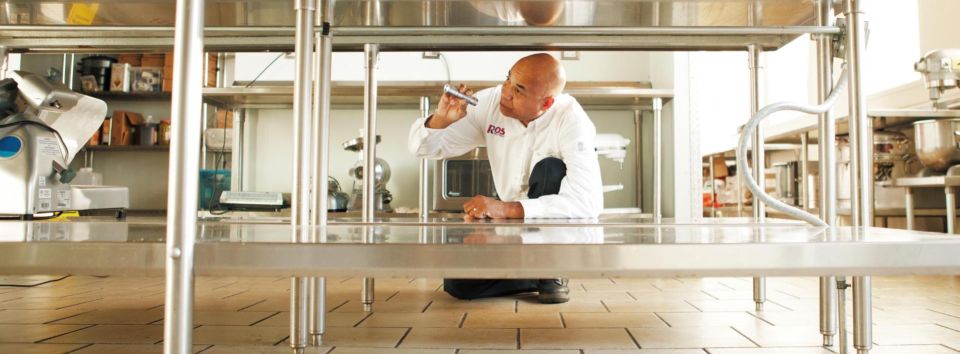 Rose Pest Solutions - Rockford, IL