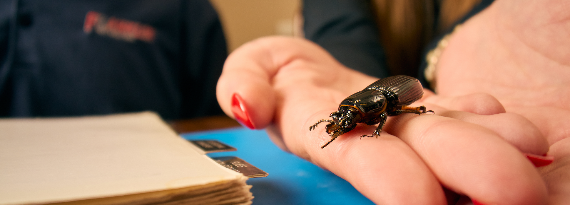 Franklin Pest Solutions Image