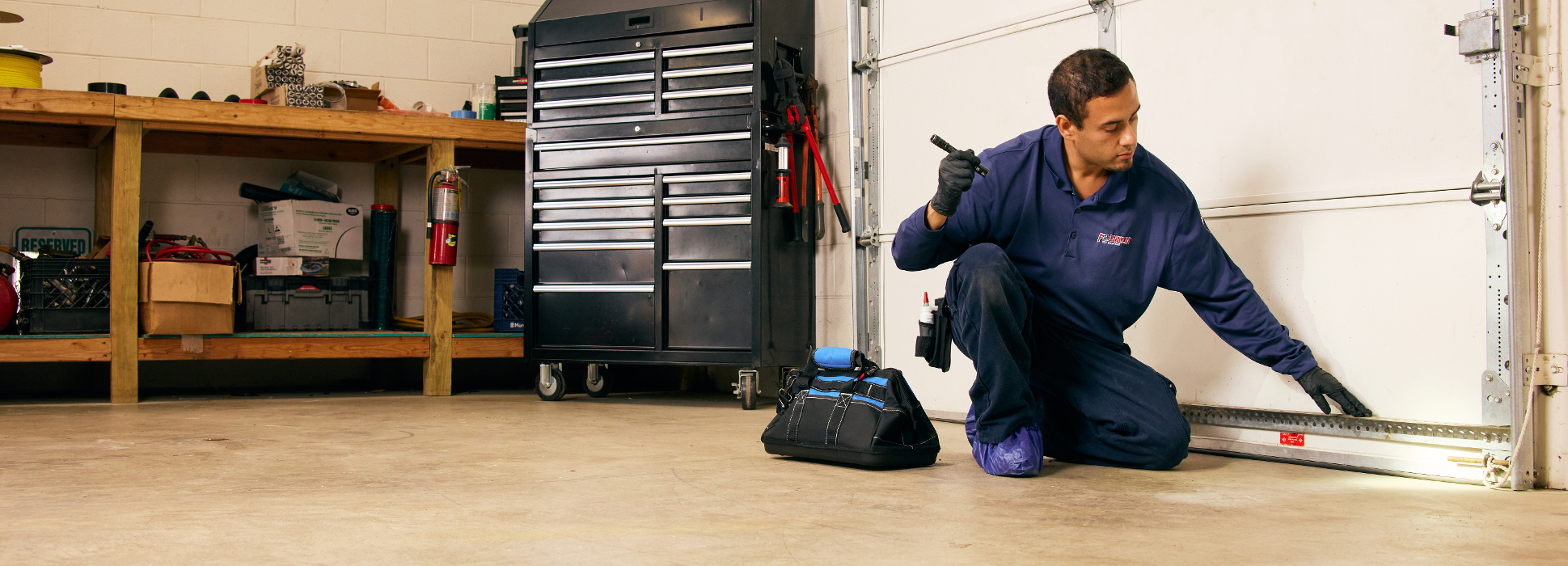 Franklin Pest Solutions Image