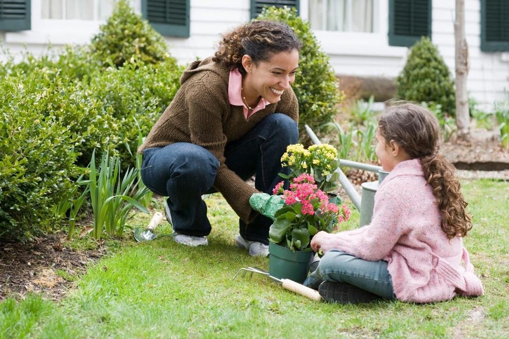 Rose Pest Solutions Image