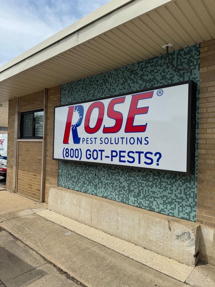 Rose Pest Solutions Image