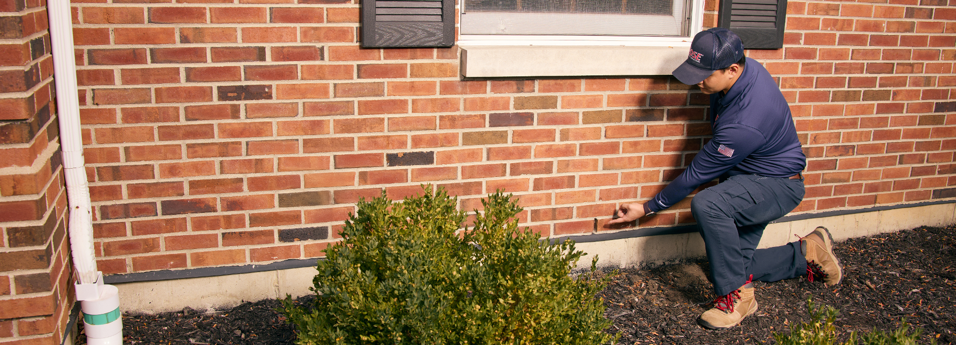 Rose Pest Solutions Image