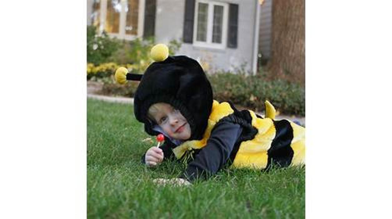 Rose Pest Solutions Image