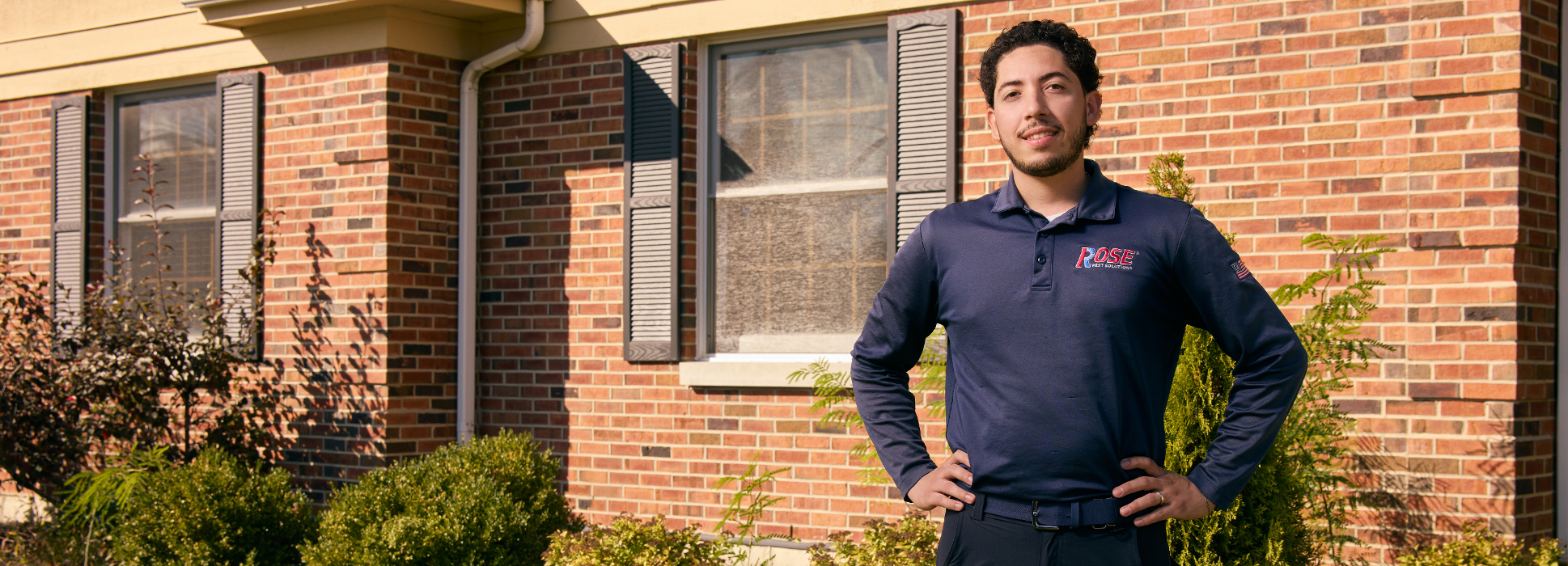 Rose Pest Solutions Image