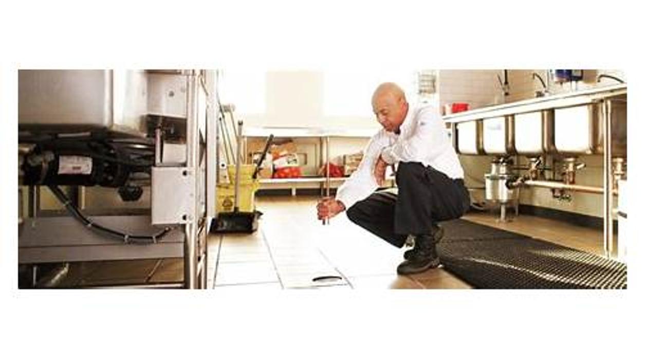 Rose Pest Solutions Image