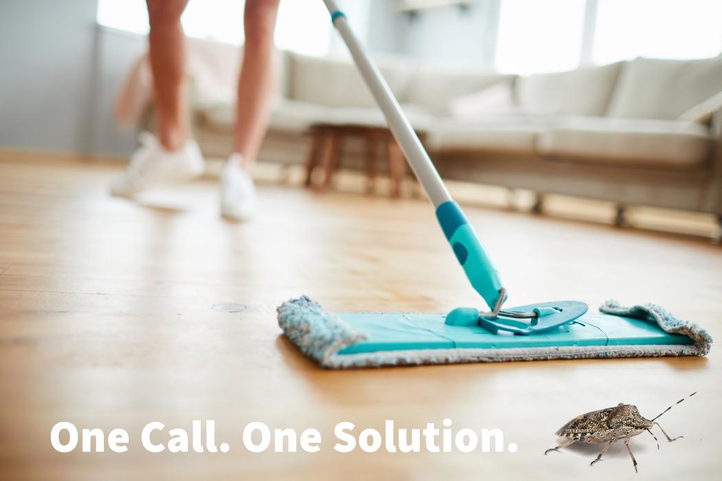 Franklin Pest Solutions - Hammond, IN