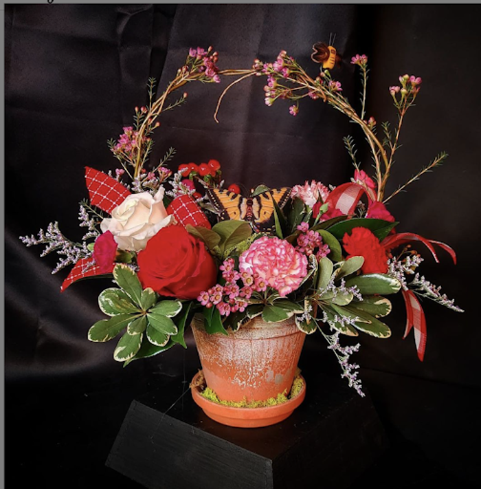 Bloom Bar & Co. - Colorado Springs, CO