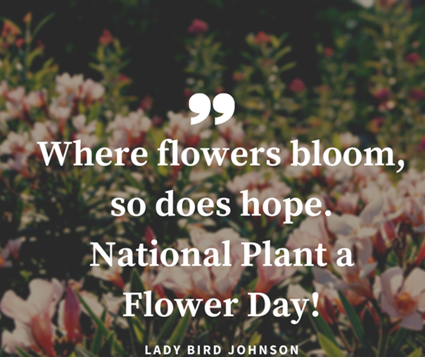 Liberty Mutual Insurance Cleveland - Michael Stauss Team - Westlake, OH