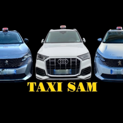 Taxi Sam