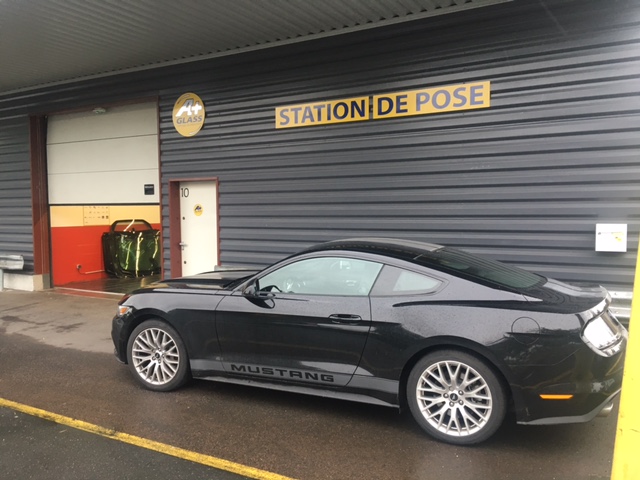 Miniature de la galerie