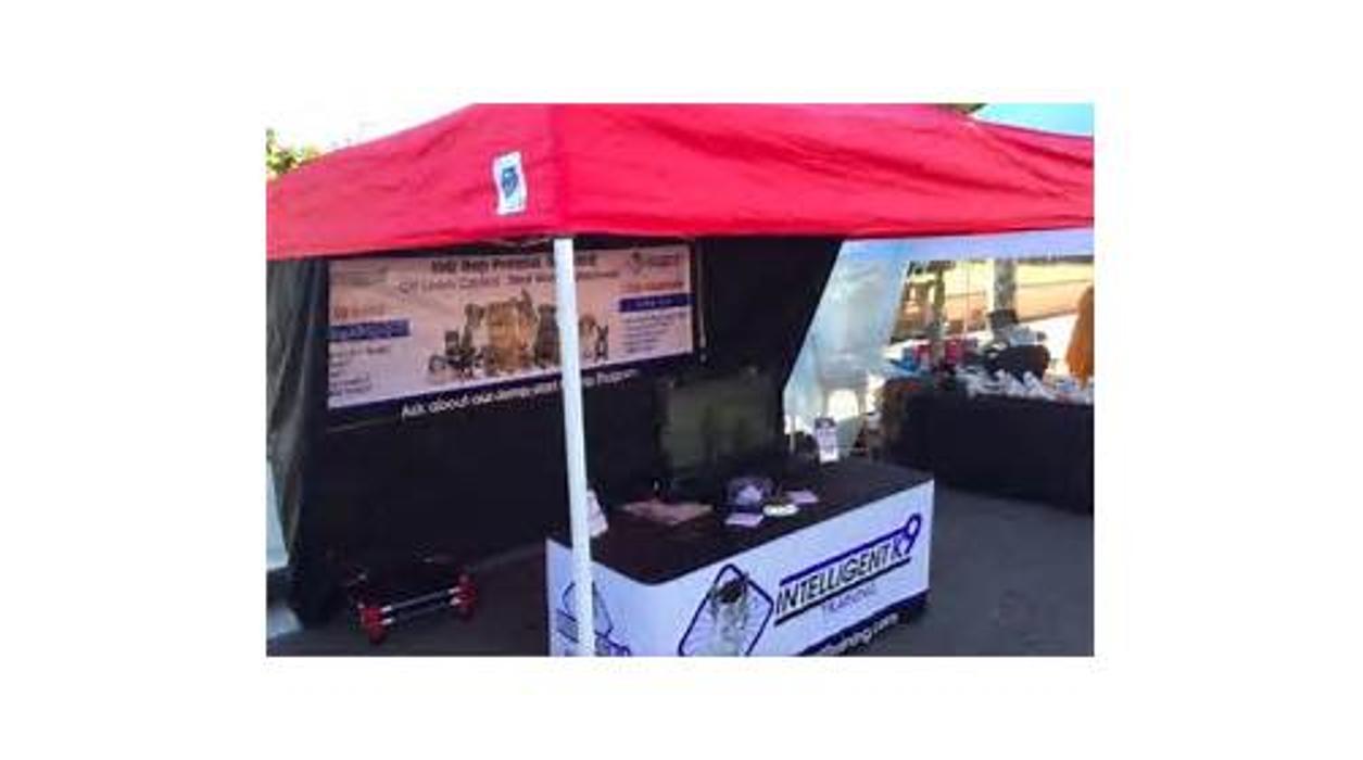 Intelligent K9 Dog Training - Glen Allen, VA