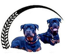 Techni' Chien - Centre Canin chenil, pension pour chiens et chats