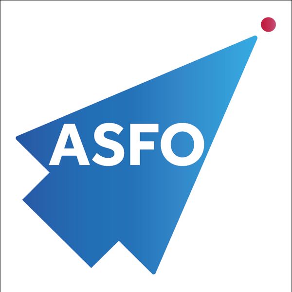 ASFO Conseil établissement d'éducation spécialisée