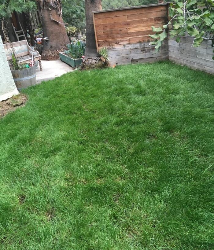 Soils Solutions - Camarillo, CA