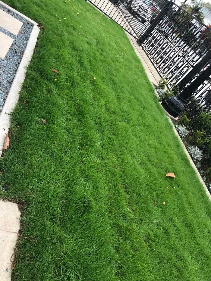 Soils Solutions - Camarillo, CA