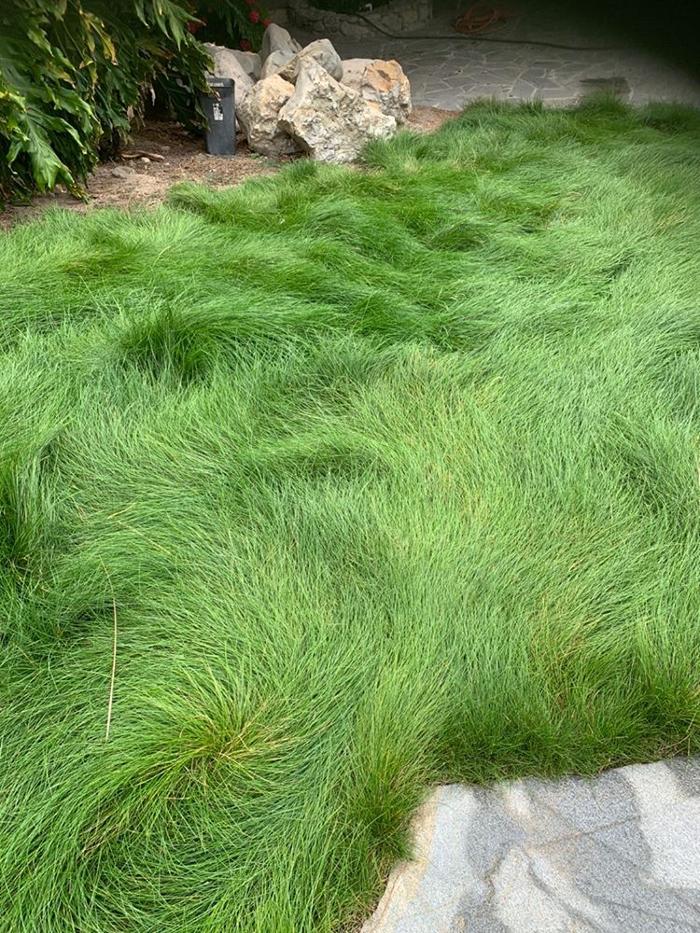 Soils Solutions - Camarillo, CA