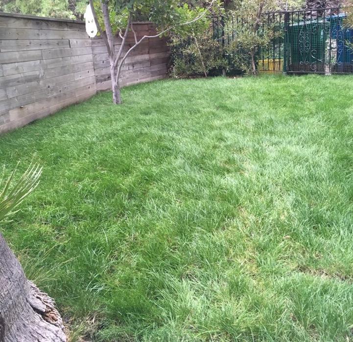 Soils Solutions - Camarillo, CA