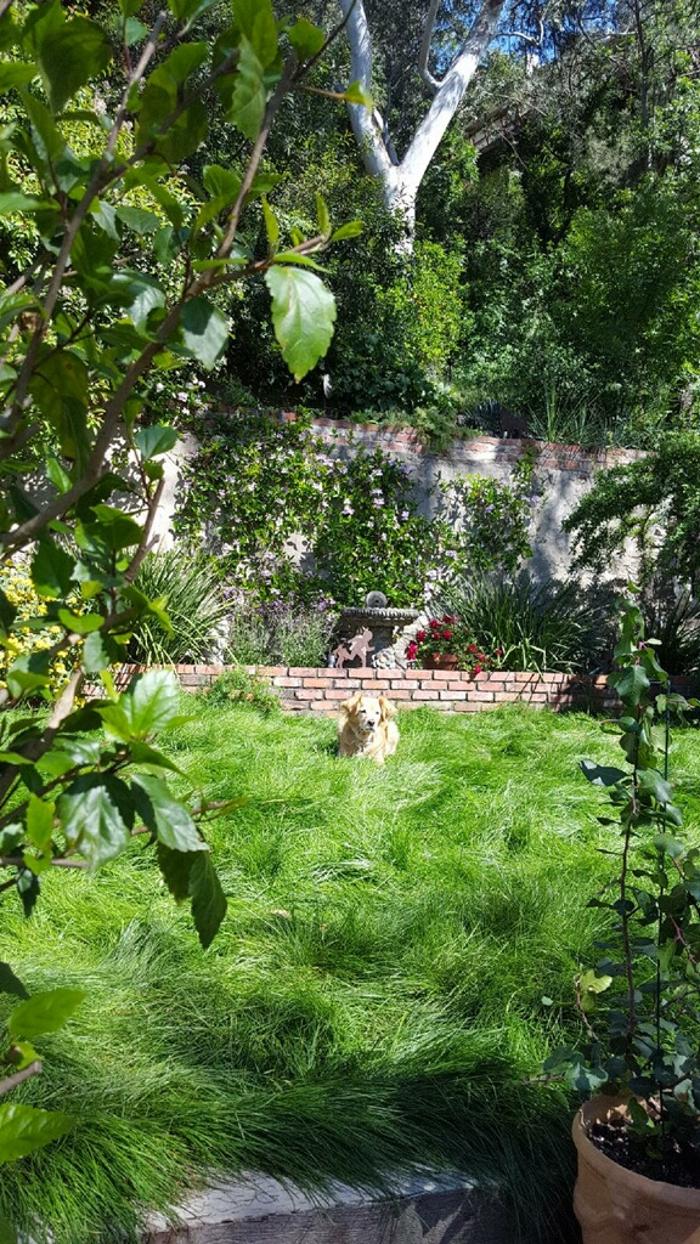Soils Solutions - Camarillo, CA