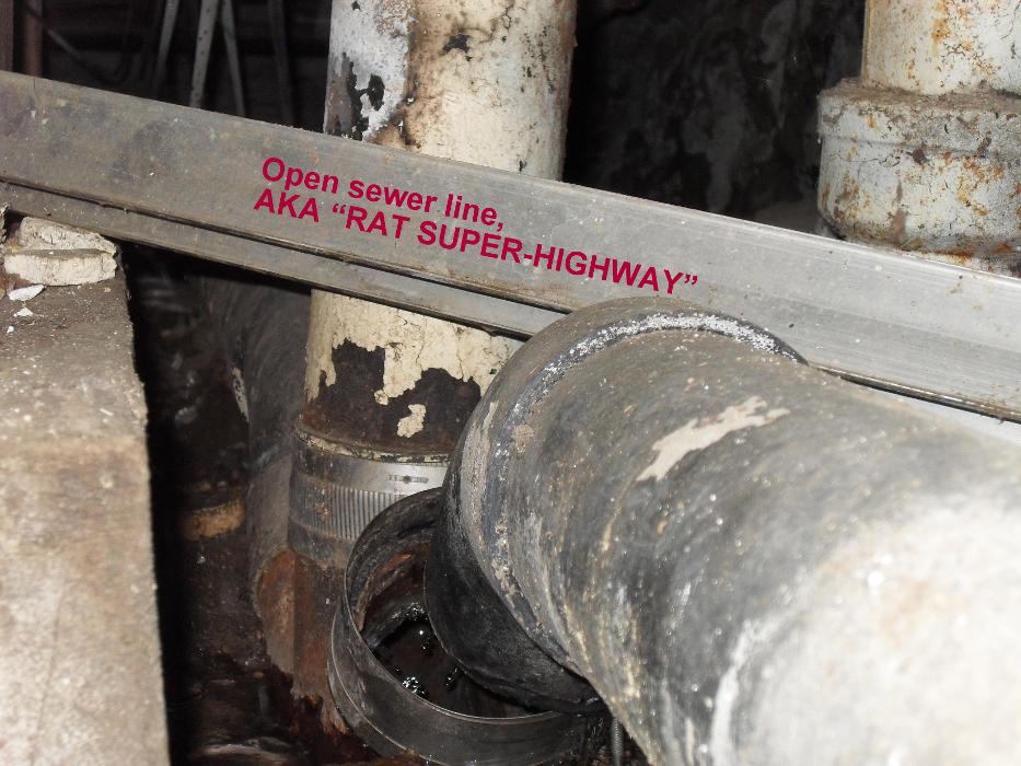 AmeriSpec Inspection Services - Minneapolis, MN