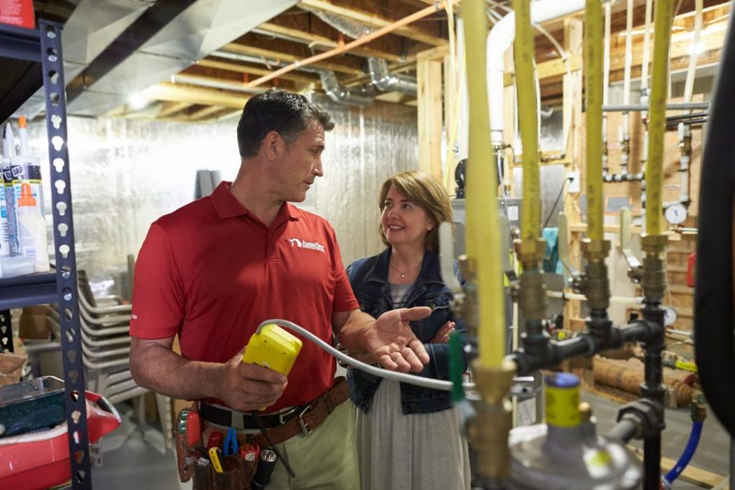 AmeriSpec Inspection Services - Minneapolis, MN