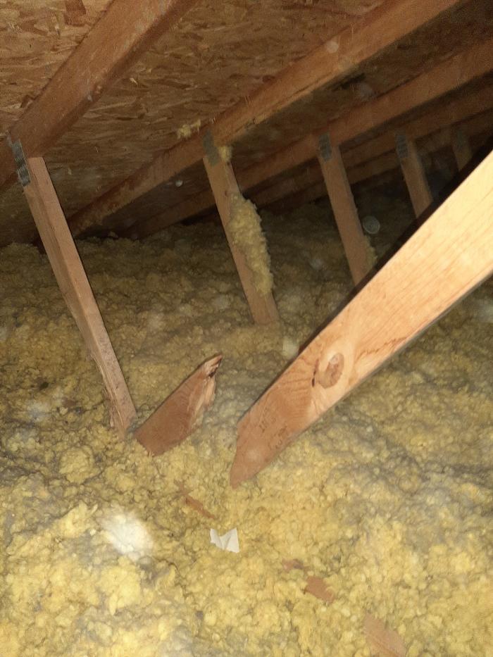 AmeriSpec Inspection Services - Grand Junction, CO