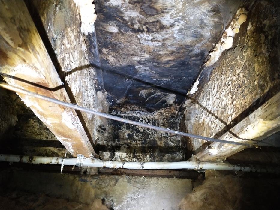 AmeriSpec Inspection Services - Grand Junction, CO