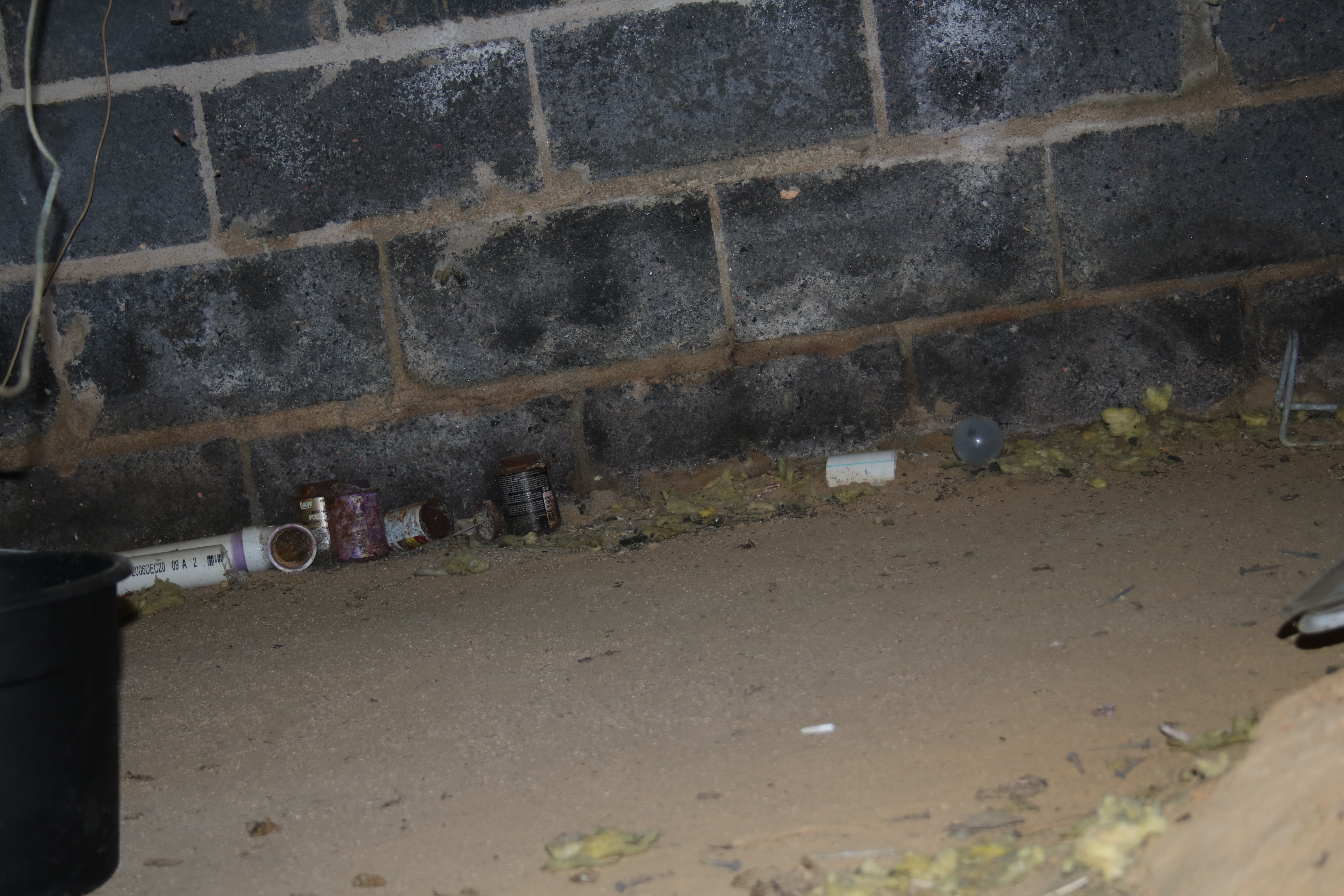 AmeriSpec Inspection Services Image