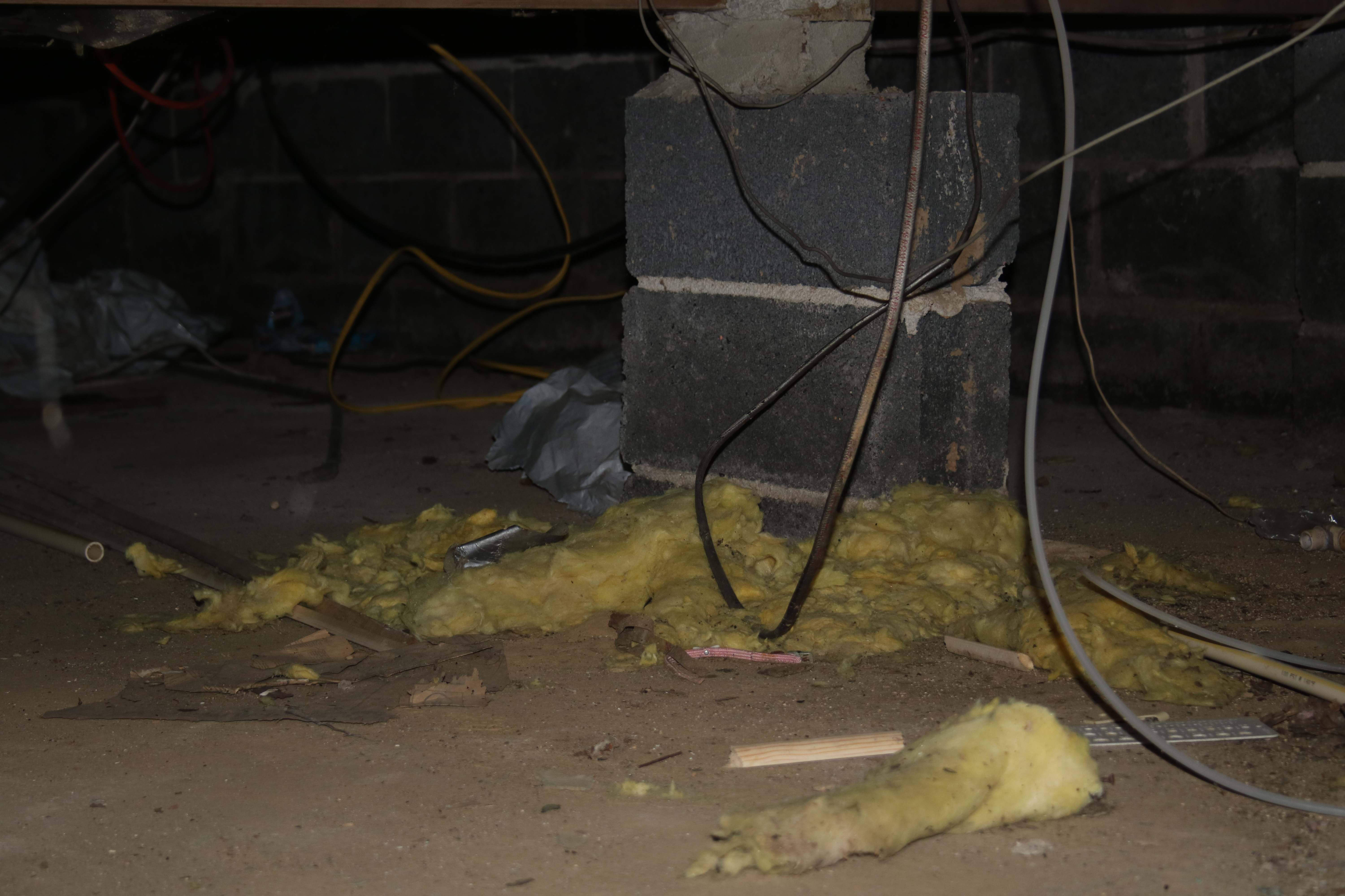 AmeriSpec Inspection Services Logo