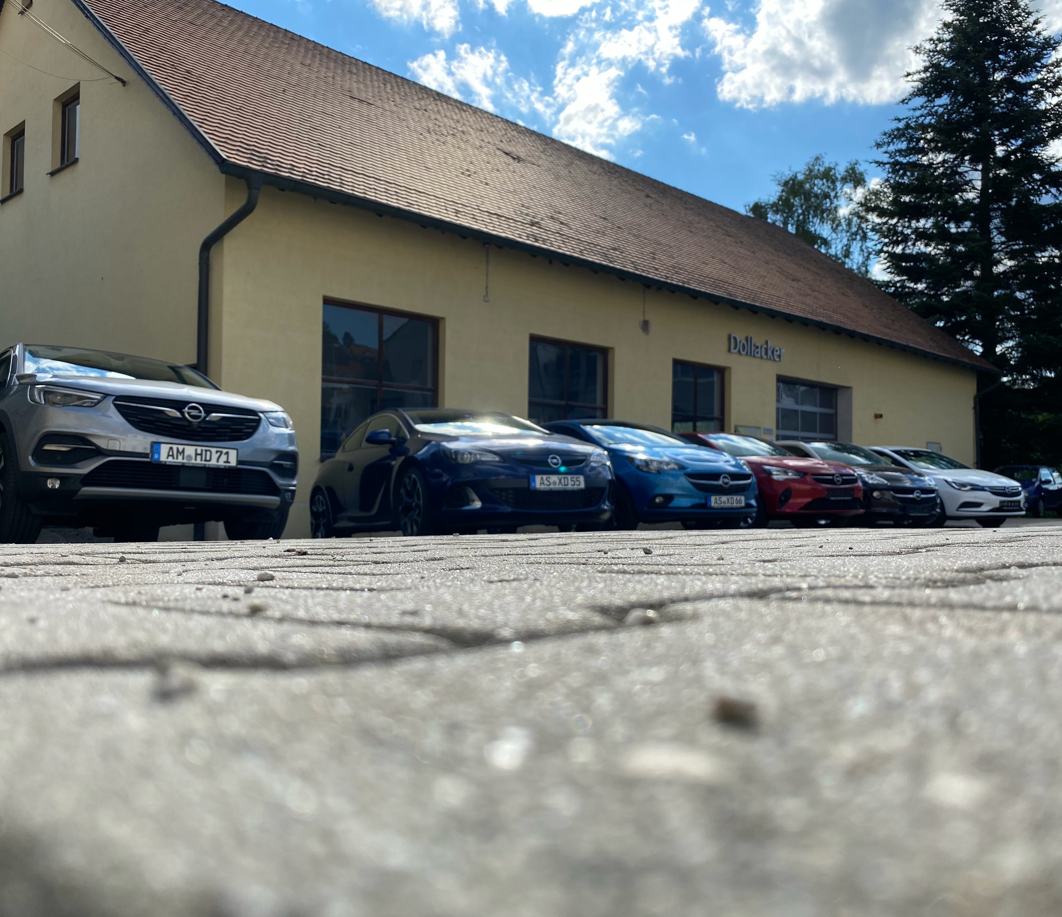 Galerie-Thumbnail