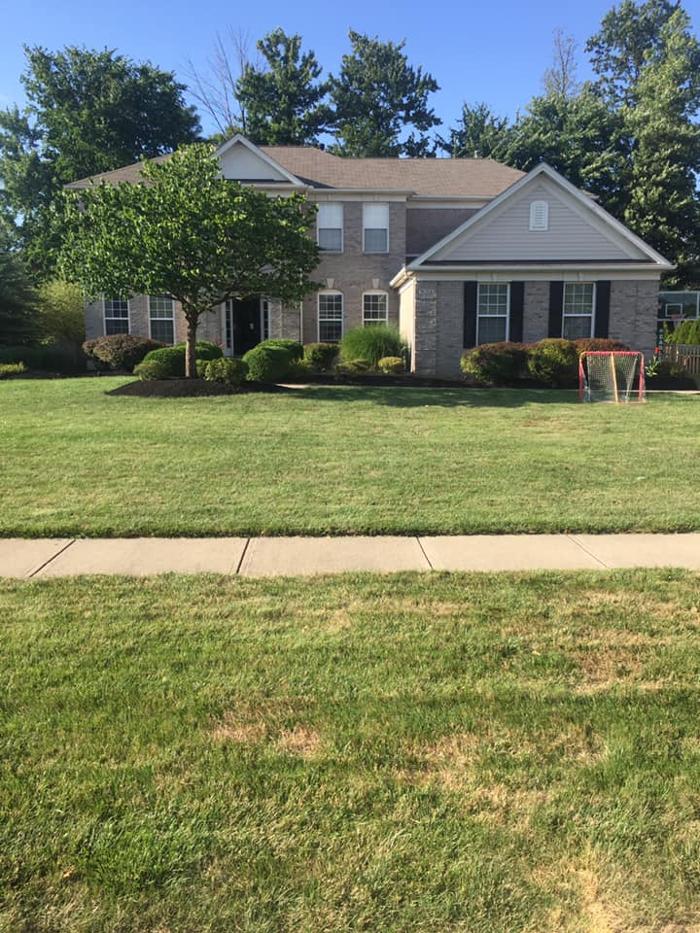 Elmwood Lawn Barber - Lakewood, OH