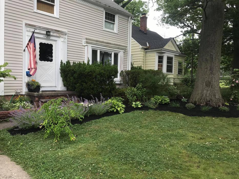 Elmwood Lawn Barber - Lakewood, OH